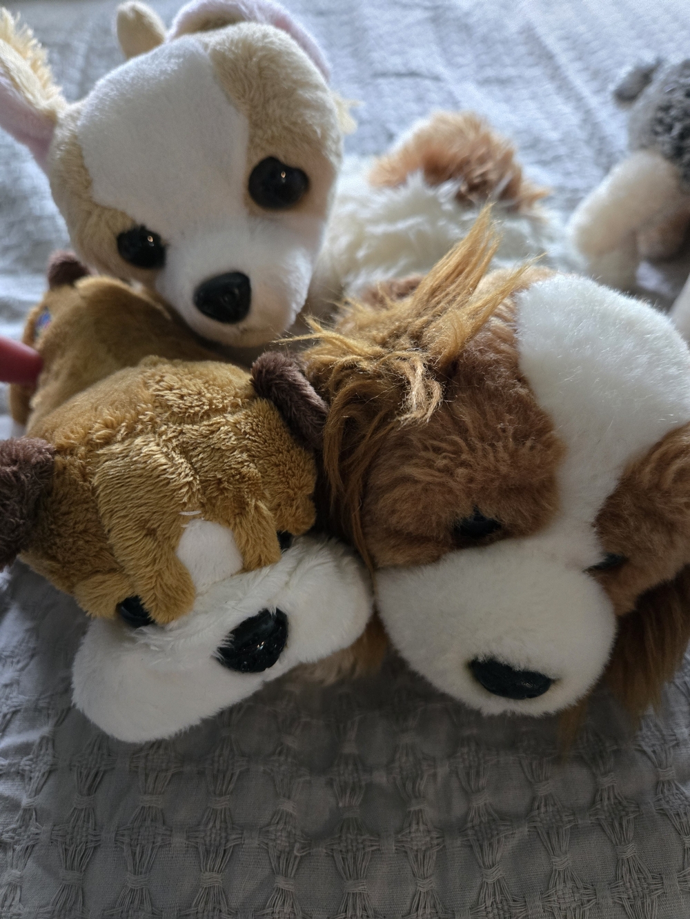 7 Lot! 🐶Aurora & Other Plush Puppy & Dog Stuffed Animal Lot - Picture 6 of 8